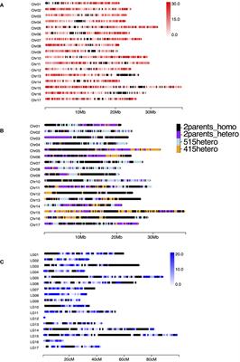 A self-compatible pear mutant derived from γ-irradiated pollen carries an 11-Mb duplication in chromosome 17